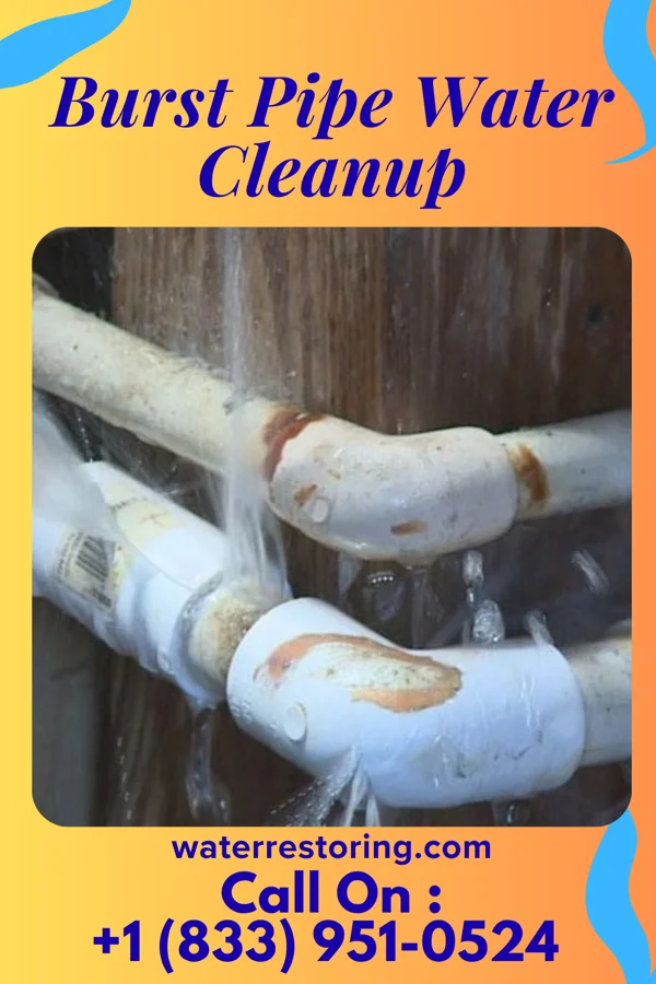 Burst Pipe Water Cleanup in Avis, PA