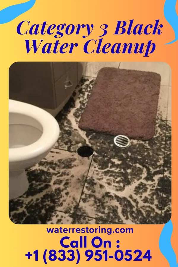 Category 3 Black Water Cleanup in Avis, PA