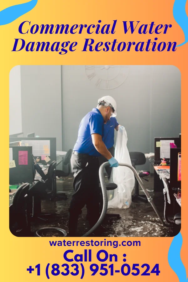 Commercial Water Damage Restoration in Avis, PA