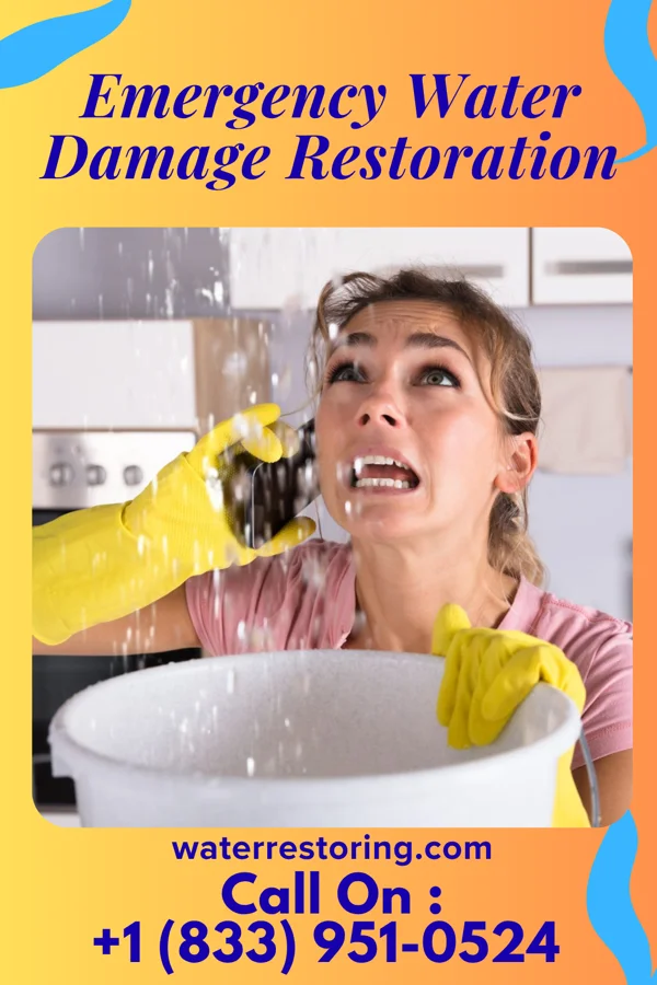 Emergency Water Damage Restoration in Avis, PA