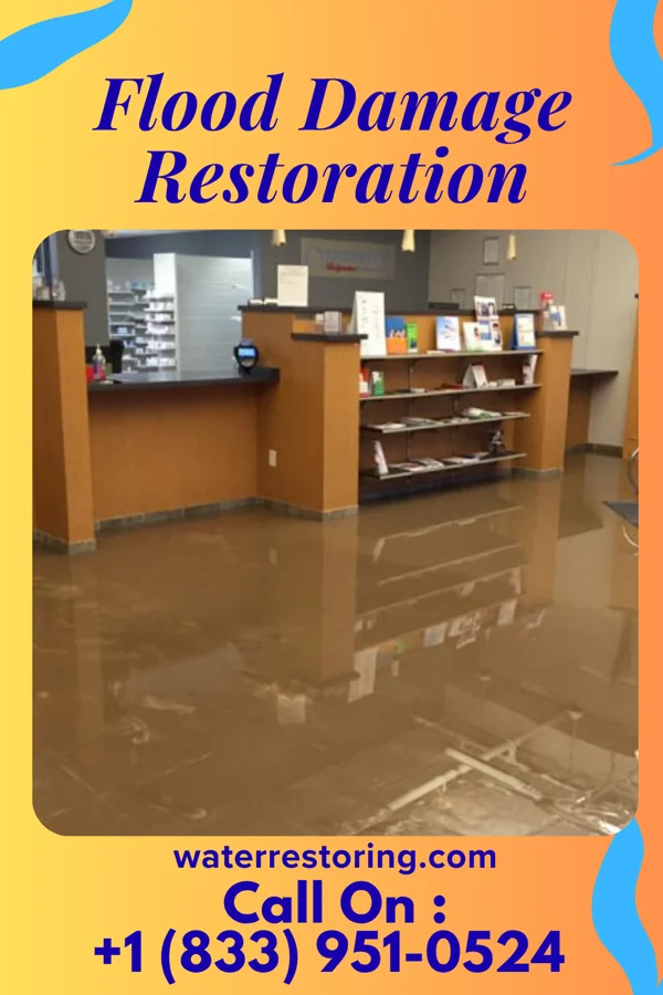 Flood Damage Restoration in Avis, PA