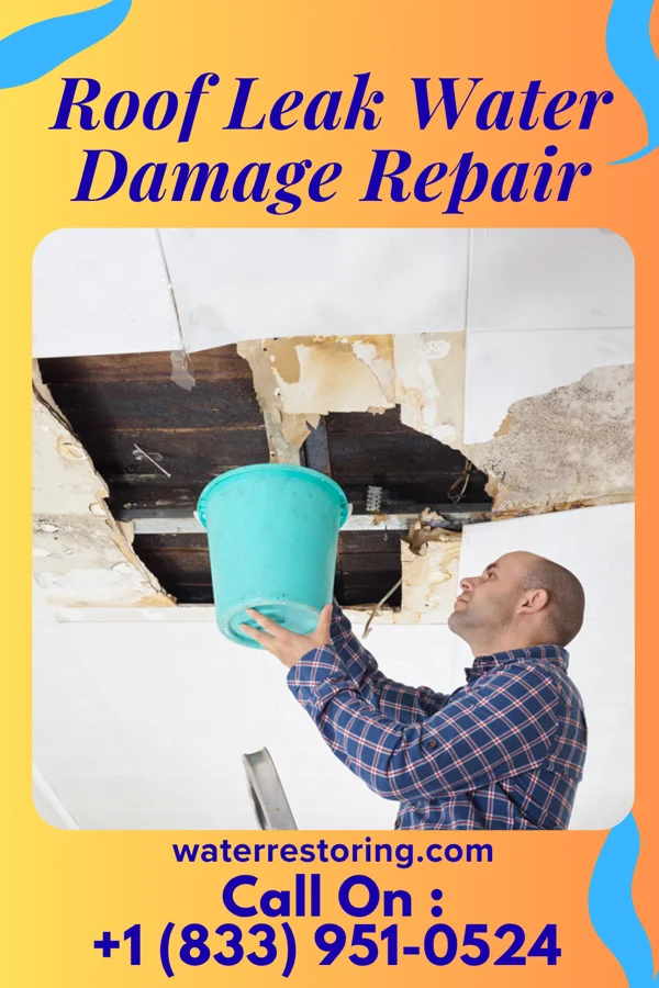 Roof Leak Water Damage Repair in Avis, PA